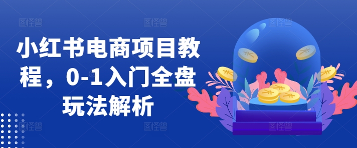 小红书电商项目教程，0-1入门全盘玩法解析-桀创项目掘金社