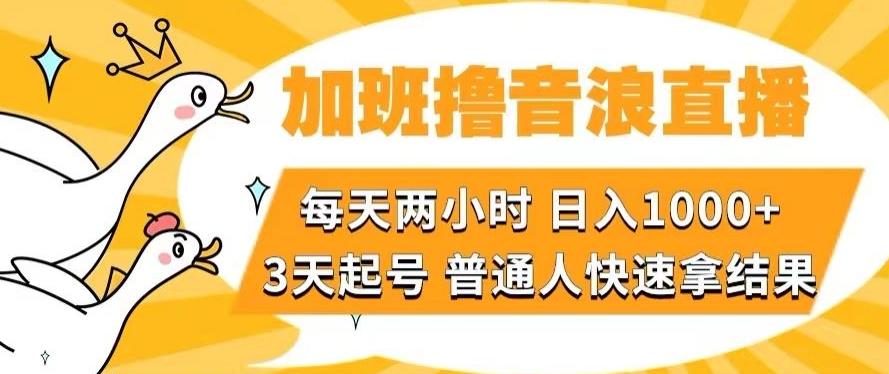 加班撸音浪直播，每天两小时，日入1000+，直播话术才3句，3天起号，普通人快速拿结果【揭秘】-桀创项目掘金社