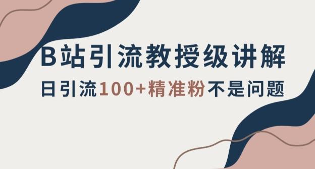 B站引流教授级讲解，细节满满，日引流100+精准粉不是问题【揭秘】-桀创项目掘金社
