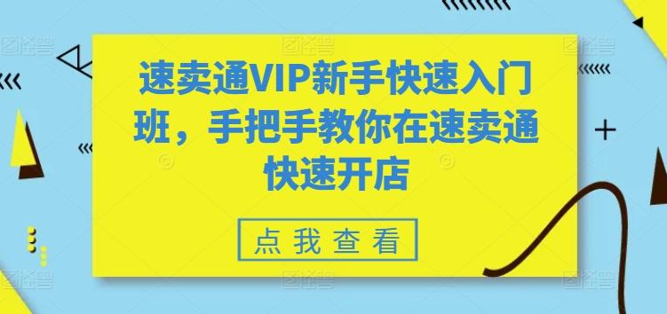 速卖通VIP新手快速入门班，手把手教你在速卖通快速开店-桀创项目掘金社