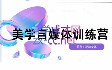 安娜·美学自媒体IP系统课-桀创项目掘金社