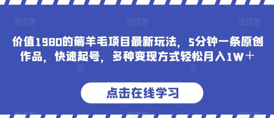 价值1980的薅羊毛项目最新玩法，5分钟一条原创作品，快速起号，多种变现方式轻松月入1W＋【揭秘】-桀创项目掘金社