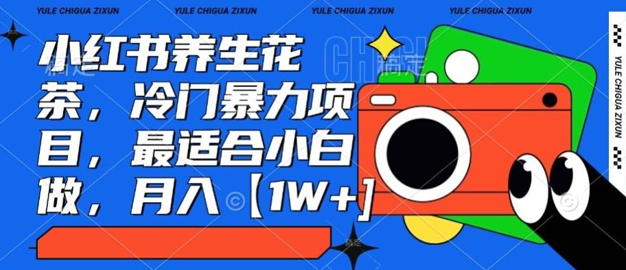 小红书养生花茶，冷门暴力项目，最适合小白做，月入【1W+】-桀创项目掘金社