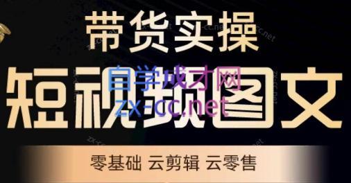 鑫哥·2024零基础短视频带货实操营-桀创项目掘金社