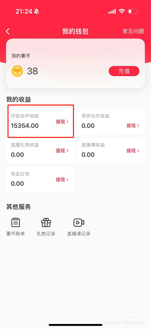热门评论引爆小红书流量，作品制作简单，广告接到手软，月入过万不是梦-桀创项目掘金社