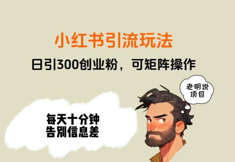靠小红书视频日印300粉，两分钟一个视频轻松矩阵-桀创项目掘金社
