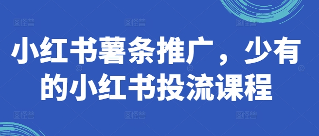 小红书薯条推广，少有的小红书投流课程-桀创项目掘金社