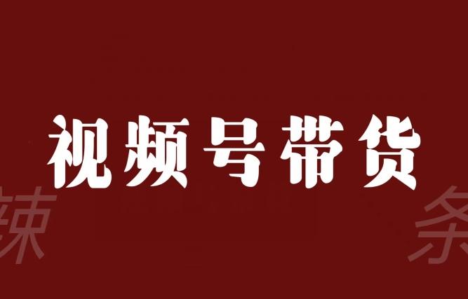 视频号带货联盟，赚信息差的带货钱，只需手机随时随地都可以做！-桀创项目掘金社