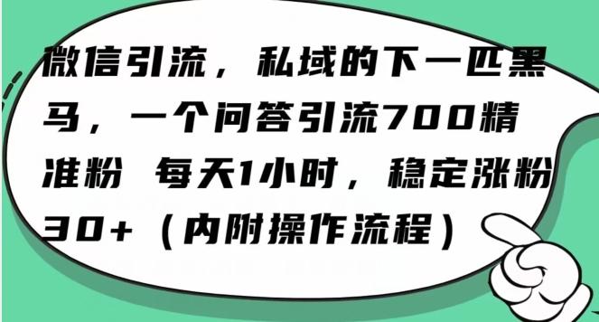怎么搞精准创业粉？微信新赛道，每天一小时，利用Ai一个问答日引100精准粉-桀创项目掘金社