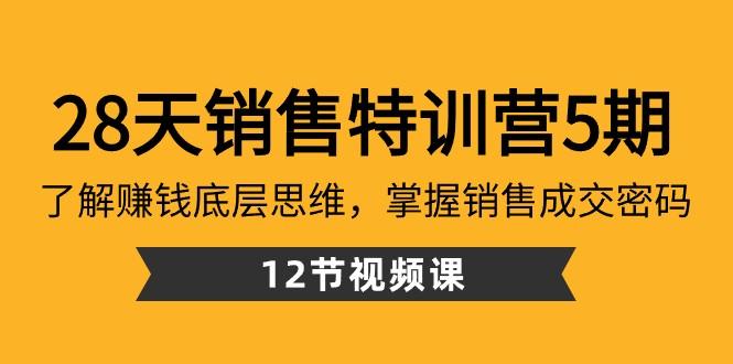 28天销售特训营5期：了解赚钱底层思维，掌握销售成交密码（12节课）-桀创项目掘金社