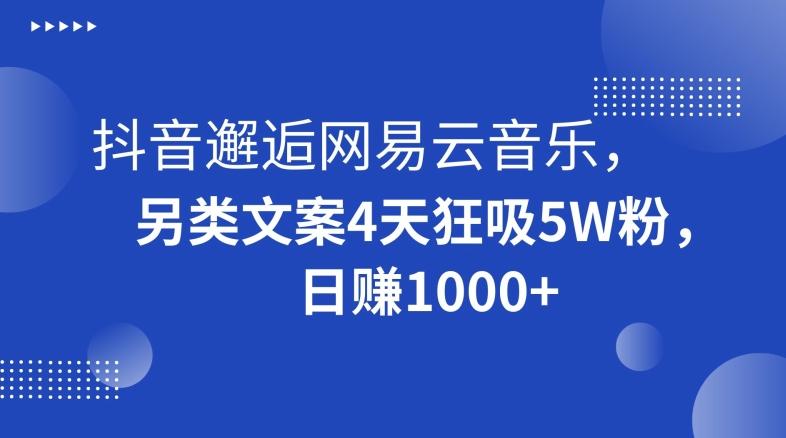 抖音邂逅网易云音乐，另类文案4天狂吸5W粉，日赚1000+【揭秘】-桀创项目掘金社