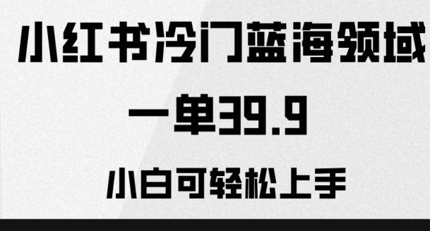 小红书冷门蓝海领域，一单39.9，小白可轻松上手-桀创项目掘金社