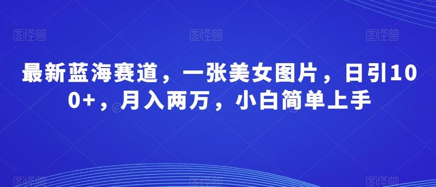 最新蓝海赛道，一张美女图片，日引100+，月入两万，小白简单上手-桀创项目掘金社