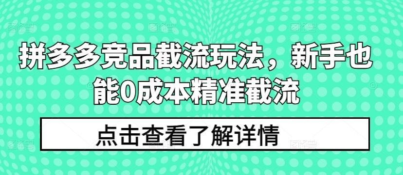 拼多多竞品截流玩法，新手也能0成本精准截流-桀创项目掘金社