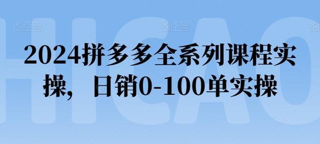 2024拼多多全系列课程实操，日销0-100单实操【必看】-桀创项目掘金社