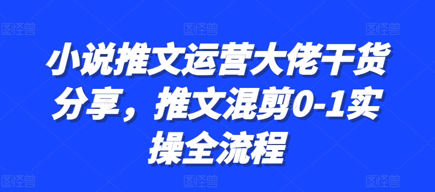 小说推文运营大佬干货分享，推文混剪0-1实操全流程-桀创项目掘金社