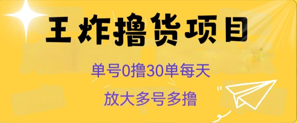 王炸撸货项目，单号0撸30单每天，多号多撸【揭秘】-桀创项目掘金社