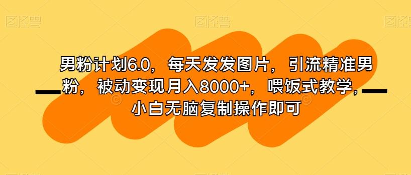 男粉计划6.0，每天发发图片，引流精准男粉，被动变现月入8000+，喂饭式教学，小白无脑复制操作即可-桀创项目掘金社
