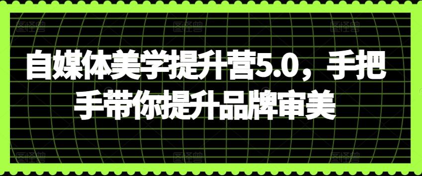 自媒体美学提升营5.0，手把手带你提升品牌审美-桀创项目掘金社