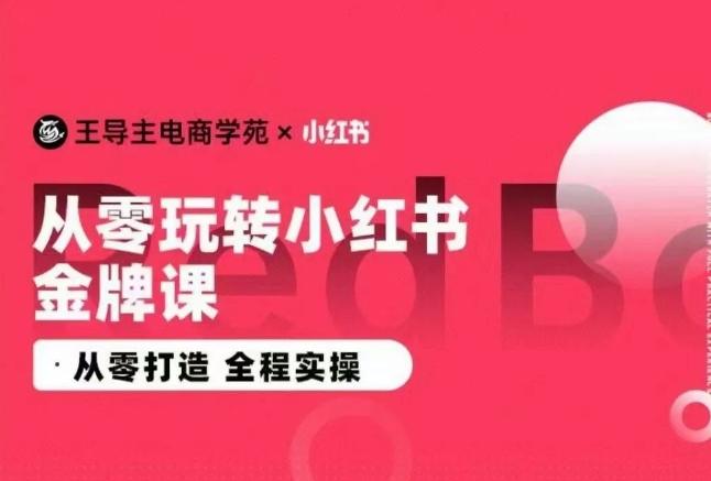 王导主·小红书电商运营实操课，​从零打造  全程实操-桀创项目掘金社
