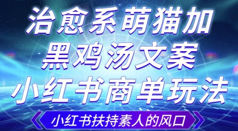 治愈系萌猫加+黑鸡汤文案，小红书商单玩法，3~10天涨到1000粉，一单200左右-桀创项目掘金社