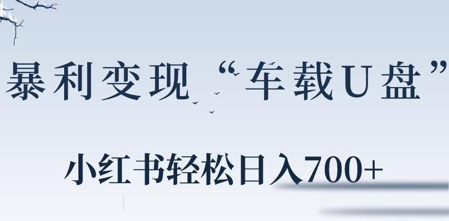 小红书“车载U盘”暴利引流，日入700+-桀创项目掘金社