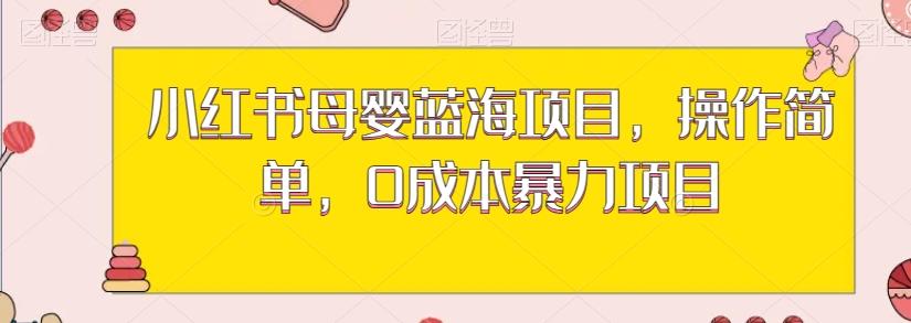 小红书母婴蓝海项目，操作简单，0成本暴力项目-桀创项目掘金社