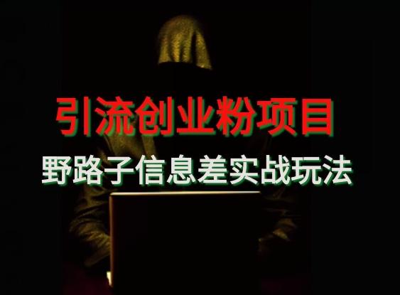 【引流创业粉】野路子信息差玩法实战教学-桀创项目掘金社