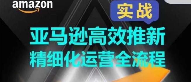亚马逊高效推新精细化运营全流程，全方位、快速拉升产品排名和销量!-桀创项目掘金社