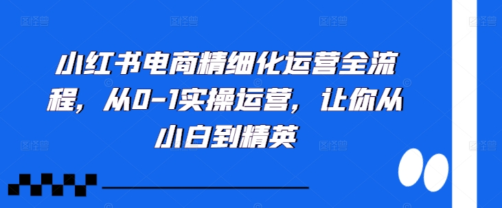 小红书电商精细化运营全流程，从0-1实操运营，让你从小白到精英-桀创项目掘金社