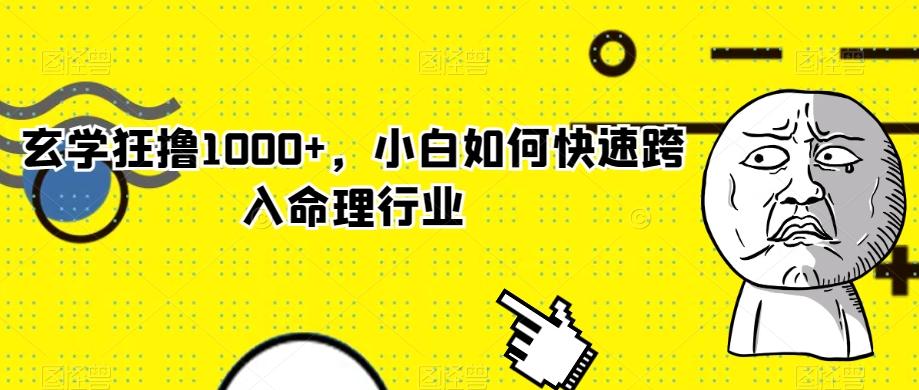 玄学狂撸1000+，小白如何快速跨入命理行业-桀创项目掘金社