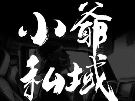 小爷·私域项目操盘手-桀创项目掘金社
