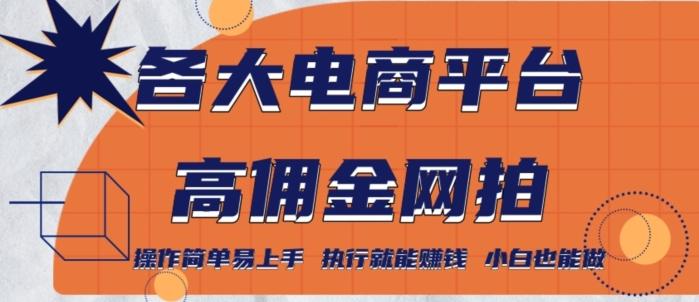 各大电商平台高佣金网拍，操作简单易上手，执行就能赚钱，小白也能做-桀创项目掘金社