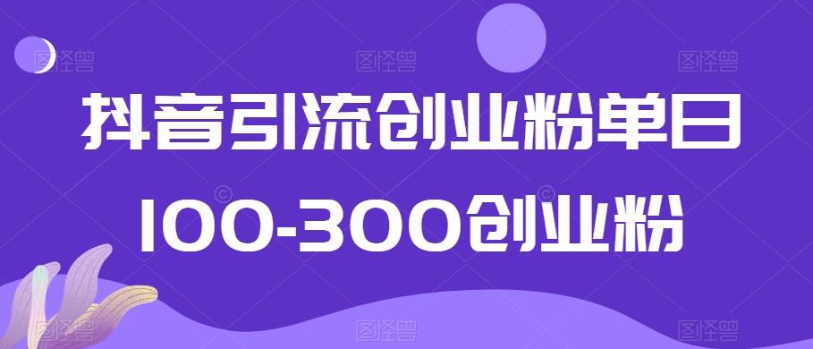 抖音引流创业粉单日100-300创业粉【揭秘】-桀创项目掘金社
