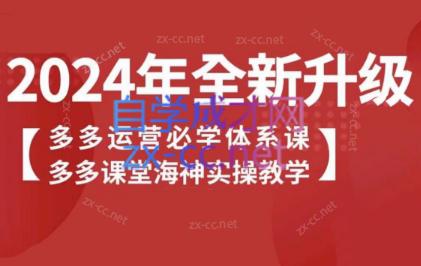 海神老师·拼多多运营必学体系课-桀创项目掘金社
