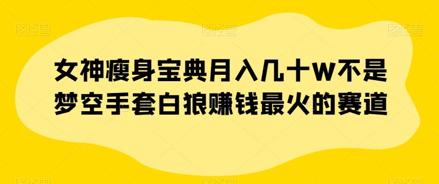 女神瘦身宝典月入几十W不是梦空手套白狼赚钱最火的赛道【揭秘】-桀创项目掘金社