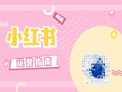 小红书运营指南，没有套路，全是经验-桀创项目掘金社