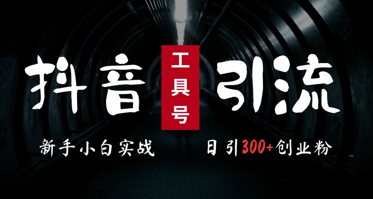 2024最新抖音工具号引流玩法，高效日引300+创业粉，当天变现5k，小白也可成为实战高手-桀创项目掘金社