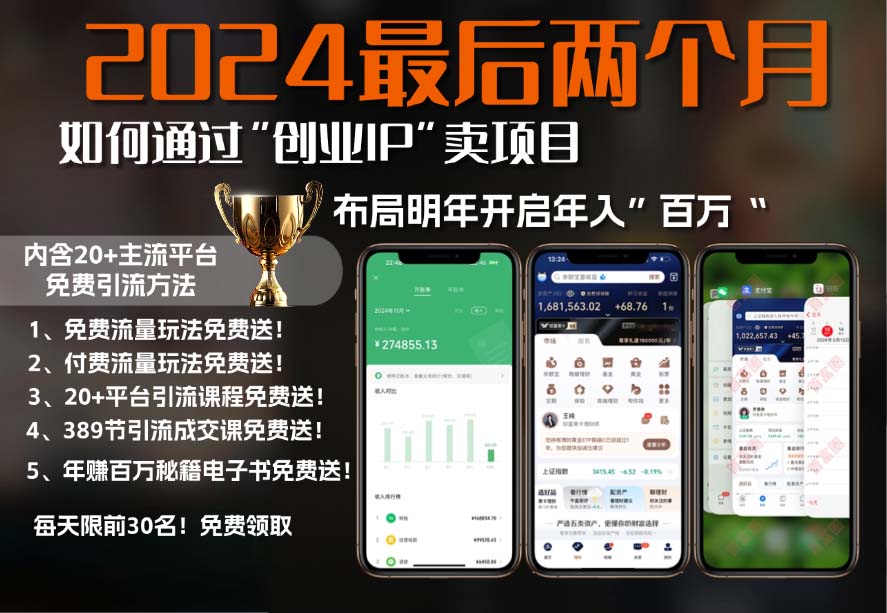 2024最后两个月如何通过”创业IP“卖项目年入”百万“,创业IP+最强引流…-桀创项目掘金社
