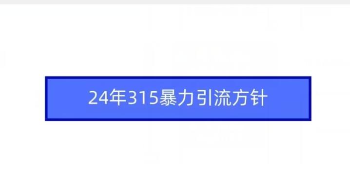 24年315暴力引流方针-桀创项目掘金社
