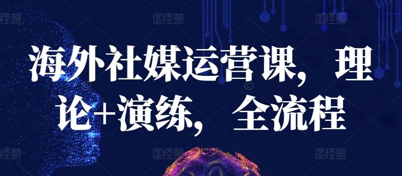 海外社媒运营课，理论+演练，全流程-桀创项目掘金社