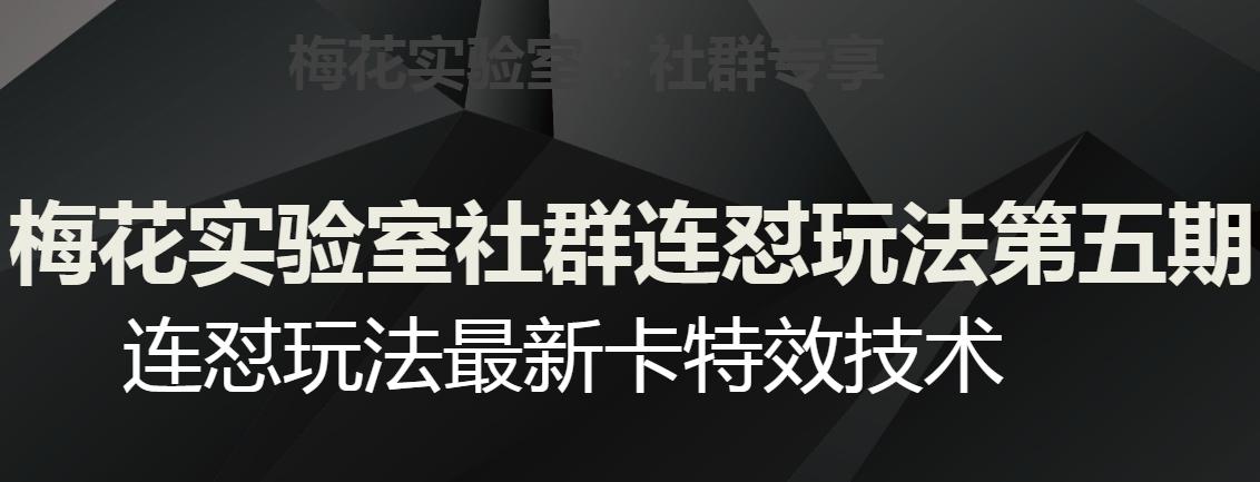 梅花实验室社群连怼玩法第五期，视频号连怼玩法最新卡特效技术-桀创项目掘金社