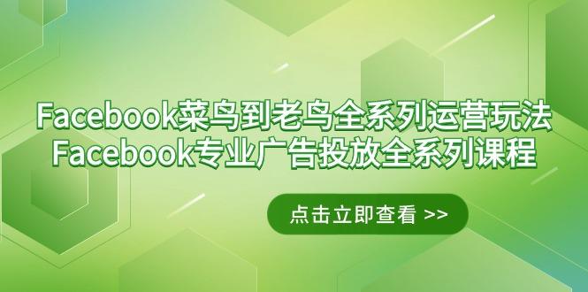 Facebook-菜鸟到老鸟全系列运营玩法+Facebook-专业广告投放全系列课程-桀创项目掘金社