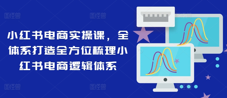 小红书电商实操课，全体系打造全方位梳理小红书电商逻辑体系-桀创项目掘金社