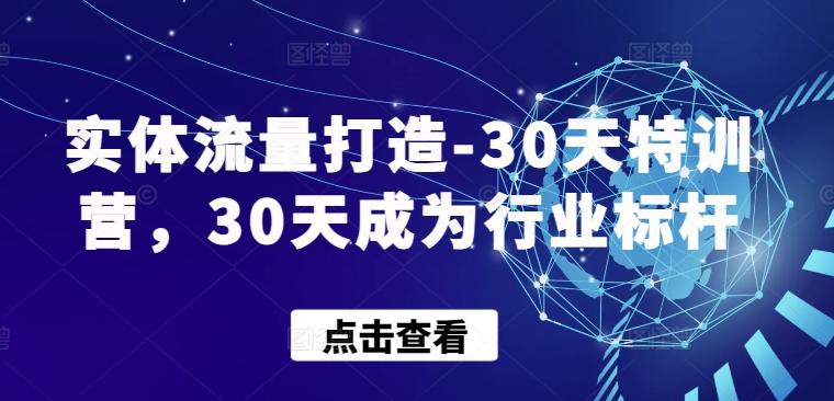 实体流量打造-30天特训营，30天成为行业标杆-桀创项目掘金社