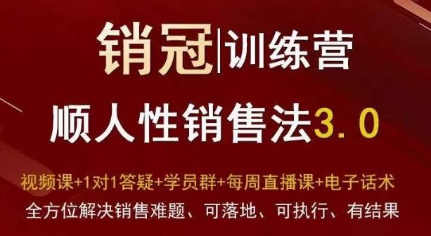 爆款！销冠训练营3.0之顺人性销售法，全方位解决销售难题、可落地、可执行、有结果-桀创项目掘金社