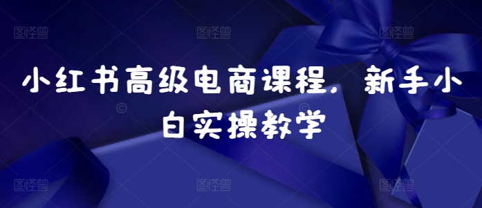 小红书高级电商课程，新手小白实操教学-桀创项目掘金社