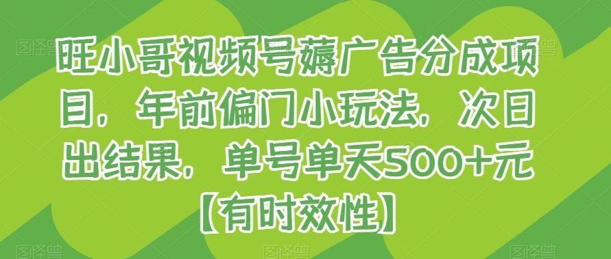 旺小哥视频号薅广告分成项目，年前偏门小玩法，次日出结果，单号单天500+元【有时效性】-桀创项目掘金社