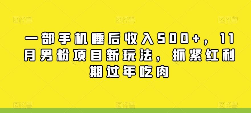 一部手机睡后收入500+，11月男粉项目新玩法，抓紧红利期过年吃肉-桀创项目掘金社