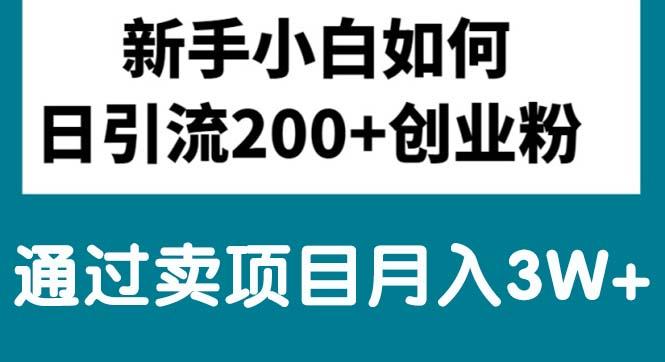 新手小白日引流200+创业粉,通过卖项目月入3W+-桀创项目掘金社